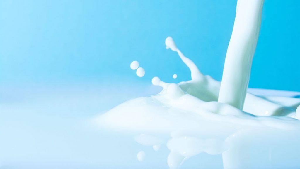 milk-1024x579.jpg