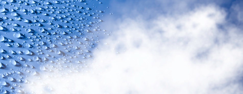 Pure Steam Solution - Pharmaceutical | Paul Mueller Company